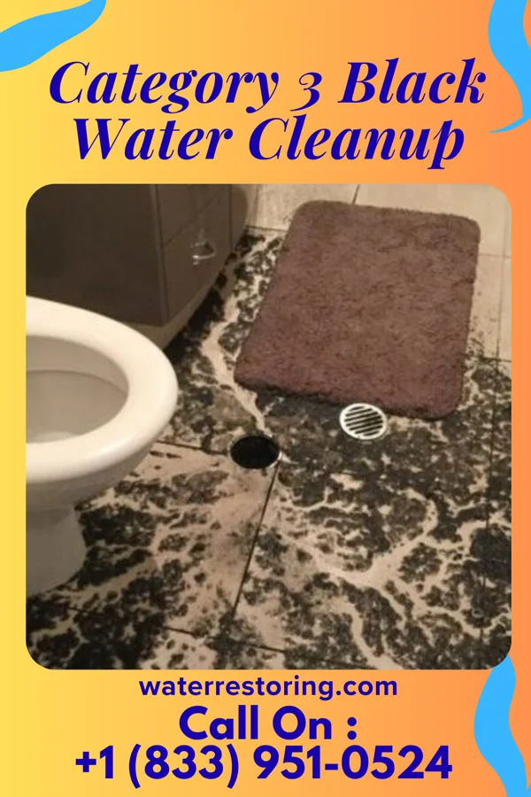 Category 3 Black Water Cleanup in Holland Patent, NY