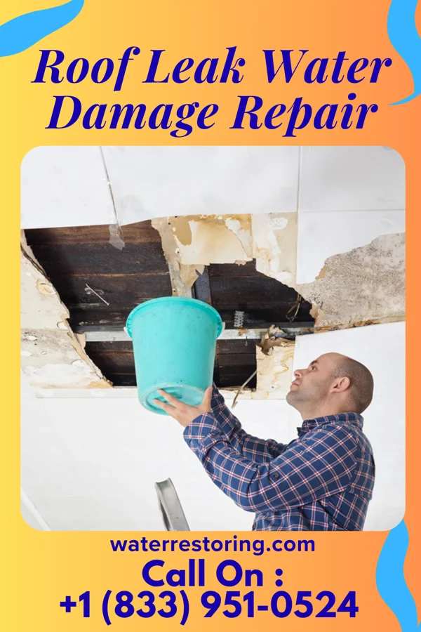 Roof Leak Water Damage Repair in Holland Patent, NY