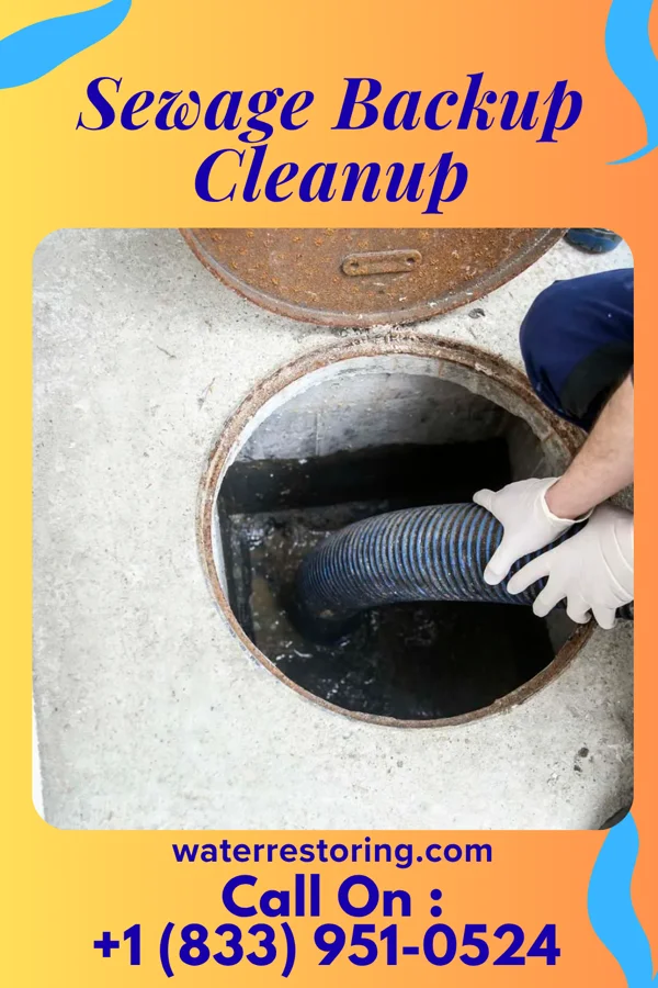 Sewage Backup Cleanup in Holland Patent, NY